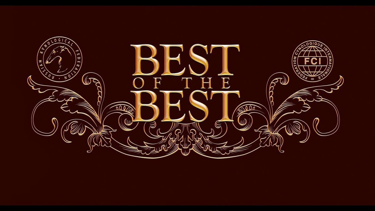 Best Independent Music: Discover Todays Indie Rock Scene